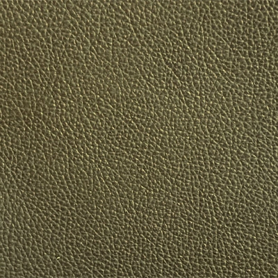 oliva